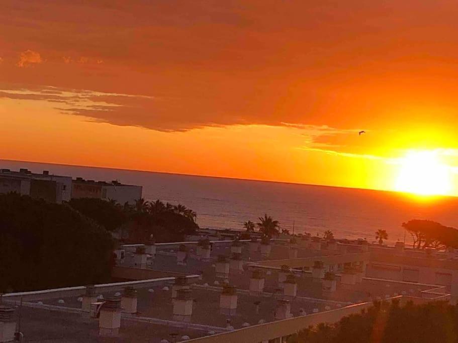 Appartement Vue Mer Au Lavandou Льо Лаванду Екстериор снимка