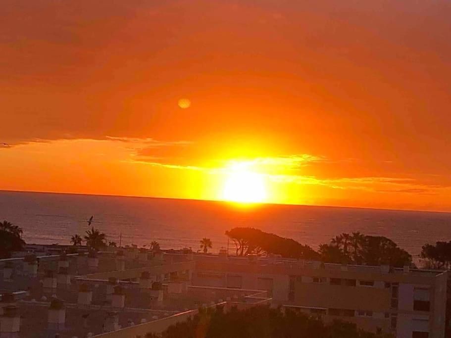 Appartement Vue Mer Au Lavandou Льо Лаванду Екстериор снимка