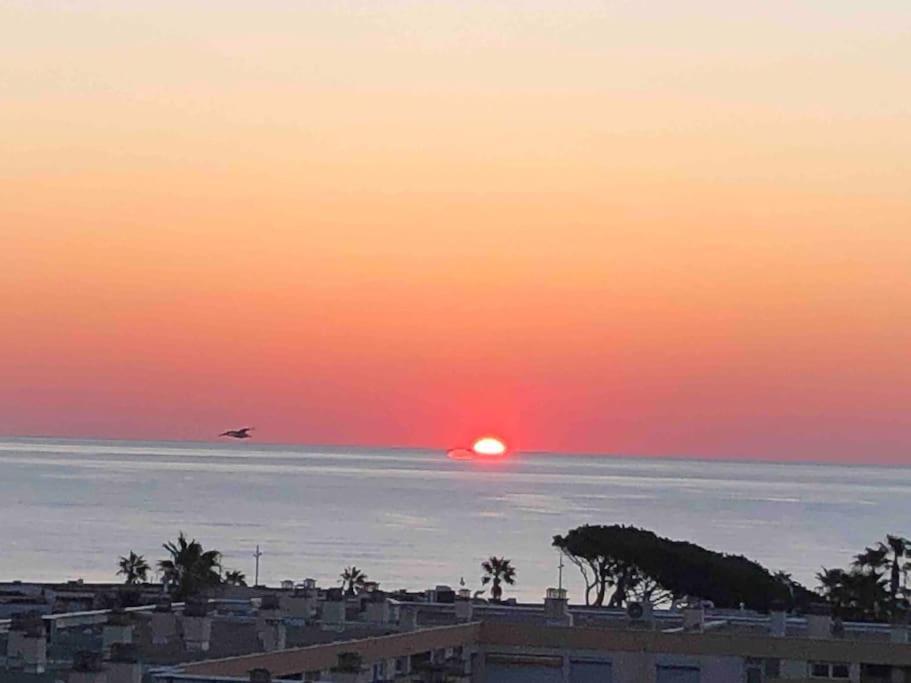 Appartement Vue Mer Au Lavandou Льо Лаванду Екстериор снимка
